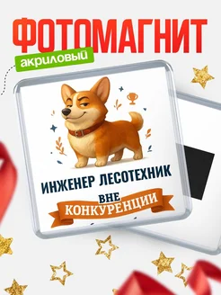 Купить магнит корги Инженер лесотехник с доставкой по России — оригинальный подарок кадровику