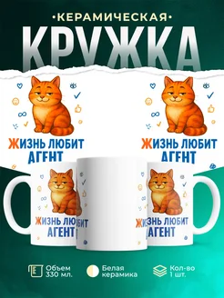 Купить кружку с принтом Агент кот рыжий в подарок с доставкой по России