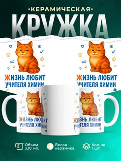 Купить кружку с принтом Учителя химии кот рыжий в подарок с доставкой по России
