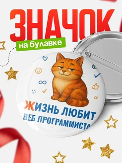 Купить значок с рыжим котом для Веб программиста с доставкой по России