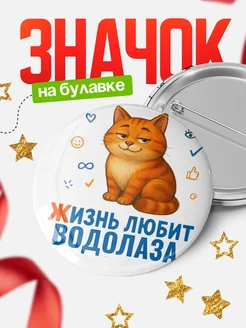 Купить значок с рыжим котом для Водолаза с доставкой по России