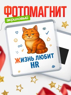 Купить магнит с HR-котом с доставкой по России — оригинальный подарок кадровику