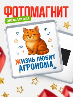 Купить магнит с Агронома-котом с доставкой по России — оригинальный подарок кадровику
