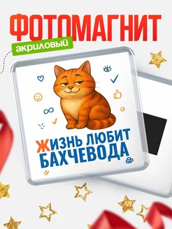Купить магнит с Бахчевода-котом с доставкой по России — оригинальный подарок кадровику
