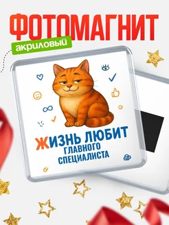 Купить магнит с Главного специалиста-котом с доставкой по России — оригинальный подарок кадровику