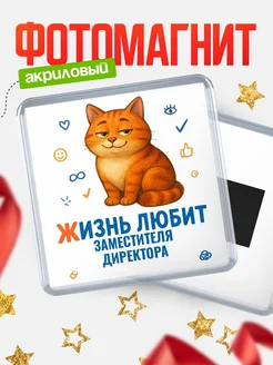 Купить магнит с Заместителя директора-котом с доставкой по России — оригинальный подарок кадровику