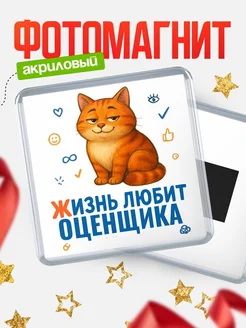 Купить магнит с Оценщика-котом с доставкой по России — оригинальный подарок кадровику