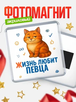 Купить магнит с Певца-котом с доставкой по России — оригинальный подарок кадровику