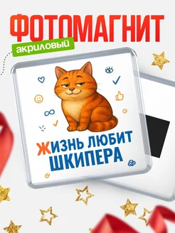 Купить магнит с Шкипера-котом с доставкой по России — оригинальный подарок кадровику
