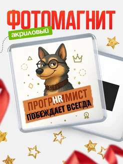 Купить магнит с программистом-собакой в подарок айтишнику с доставкой