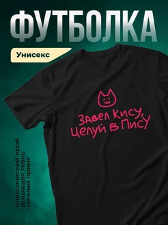 Купить футболку с принтом кота «Завел кису, целый в писку» с доставкой по России