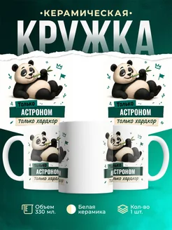 Купить кружку с пандой Астроном только хардкор в подарок с доставкой по России