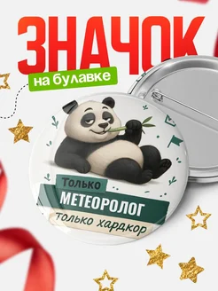 Купить значок Панда Метеоролог с доставкой по России — оригинальный подарок кадровику