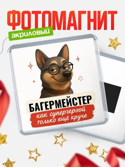 Купить магнит сувенирный 65мм Багермейстер как супергерой с доставкой по России