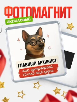 Купить магнит сувенирный 65мм Главный архивист как супергерой с доставкой по России