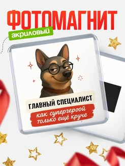 Купить магнит сувенирный 65мм Главный специалист как супергерой с доставкой по России