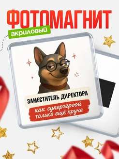 Купить магнит сувенирный 65мм Заместитель директора как супергерой с доставкой по России