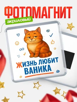 Купить магнит с рыжим котом «Жизнь любит Ваника» с доставкой по России