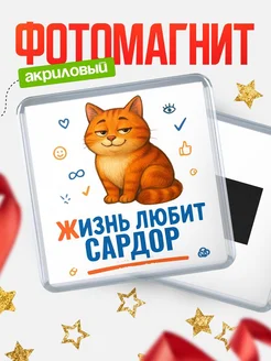 Купить магнит с рыжим котом «Жизнь любит Сардор» с доставкой по России
