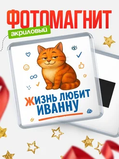 Купить магнит с рыжим котом «Жизнь любит Иванну» с доставкой по России