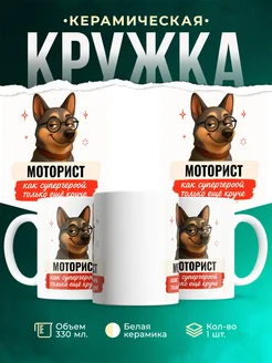 Купить кружку Моторист с собакой в очках с доставкой по России в подарок