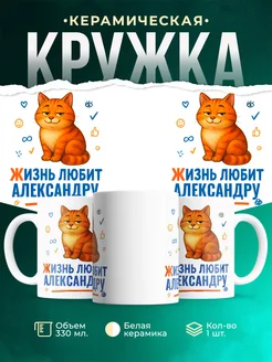 Купить кружку с приколом жизнь любит Александру с доставкой по России