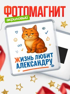 Купить магнит с рыжим котом «Жизнь любит Александру» с доставкой по России