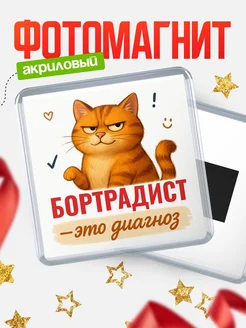 Купить магнит с котом Бортрадист прикол с доставкой по России в подарок