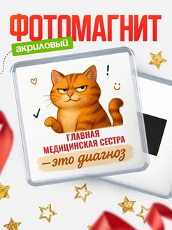 Купить магнит с котом Главная медицинская сестра прикол с доставкой по России в подарок