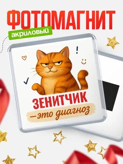 Купить магнит с котом Зенитчик прикол с доставкой по России в подарок
