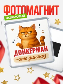 Купить магнит с котом Донкерман прикол с доставкой по России в подарок