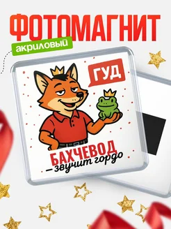 Купить магнит прикольный с лисой и лягушкой для Бахчевод с доставкой по России