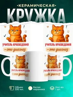 Купить кружку с рыжим котом Учитель краеведения в подарок коллеге с доставкой по России