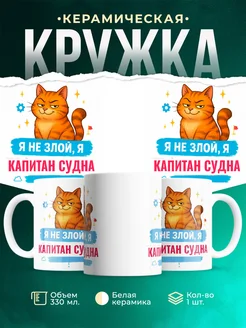Купить кружку с принтом озорной кот Капитан судна-менеджер в подарок с доставкой