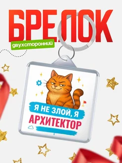 Купить брелок с котом Архитектор в подарок с доставкой по России