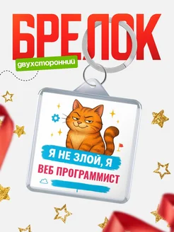 Купить брелок с котом Веб программист в подарок с доставкой по России