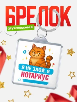 Купить брелок с котом Нотариус в подарок с доставкой по России