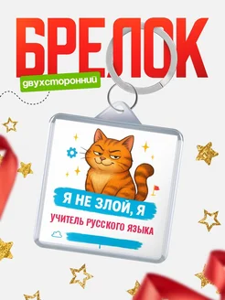 Купить брелок с котом Учитель русского языка в подарок с доставкой по России