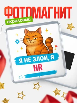 Купить магнит с котом HR в подарок кадровику с доставкой по России