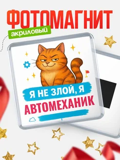 Купить магнит с котом Автомеханик в подарок кадровику с доставкой по России