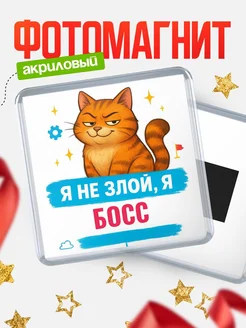 Купить магнит с котом Босс в подарок кадровику с доставкой по России