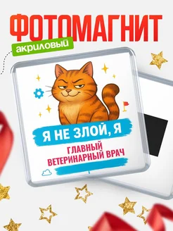 Купить магнит с котом Главный ветеринарный врач в подарок кадровику с доставкой по России