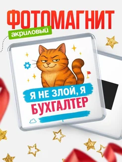 Купить магнит с котом Бухгалтер в подарок кадровику с доставкой по России