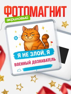 Купить магнит с котом Военный дознаватель в подарок кадровику с доставкой по России