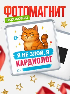 Купить магнит с котом Кардиолог в подарок кадровику с доставкой по России