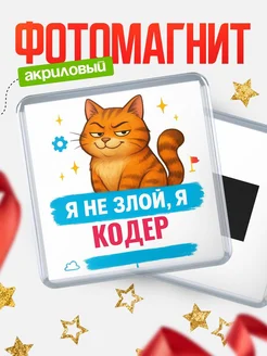 Купить магнит с котом Кодер в подарок кадровику с доставкой по России