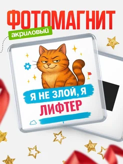 Купить магнит с котом Лифтер в подарок кадровику с доставкой по России