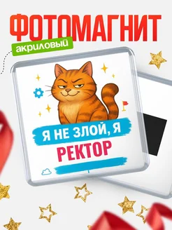 Купить магнит с котом Ректор в подарок кадровику с доставкой по России