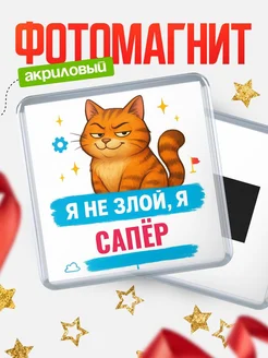 Купить магнит с котом Сапёр в подарок кадровику с доставкой по России