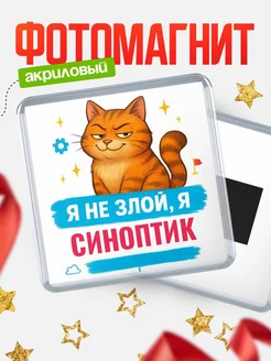 Купить магнит с котом Синоптик в подарок кадровику с доставкой по России